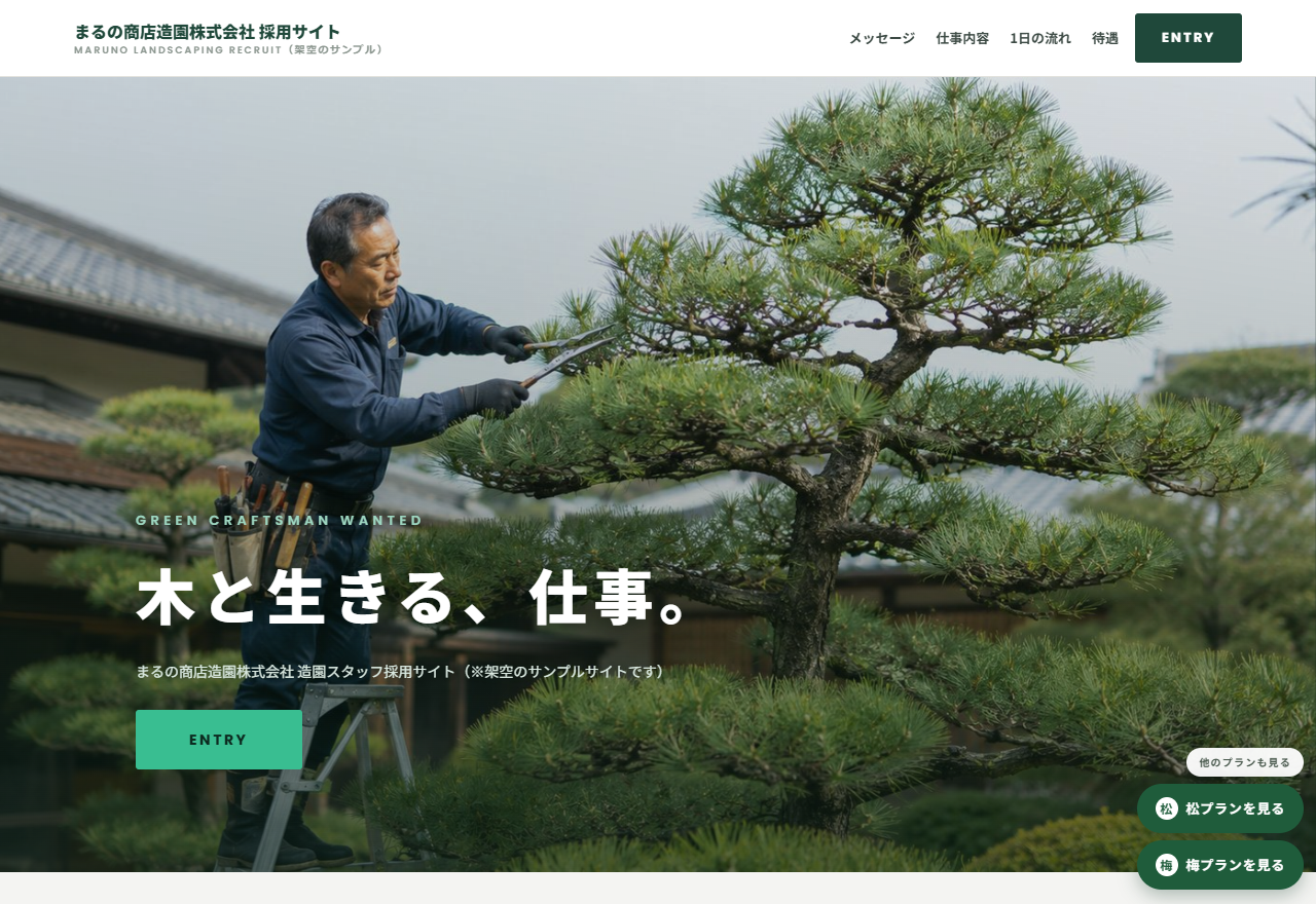 深緑・採用LP型